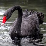 Black Swan Watch: China Has Added Over $50 TRILLION in Financial Assets Since 2014